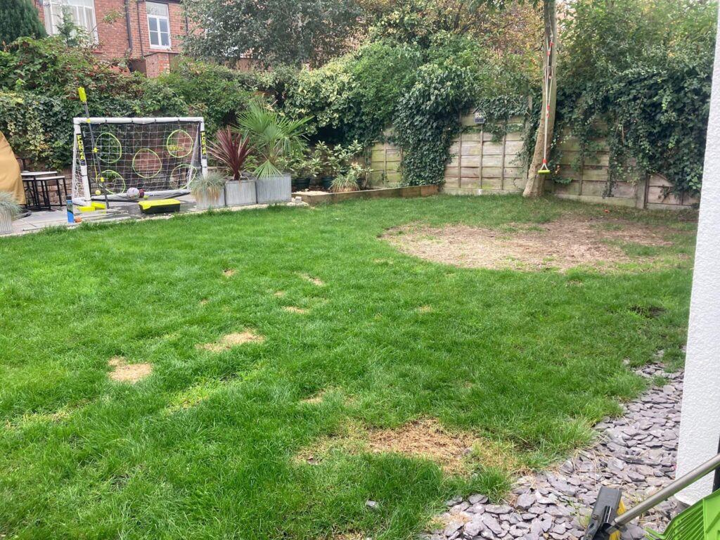 Photo of a garden with natural grass that has holes, patches and discolouration. 