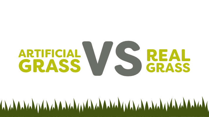 Graphics of Artificial Grass vs Real Grass