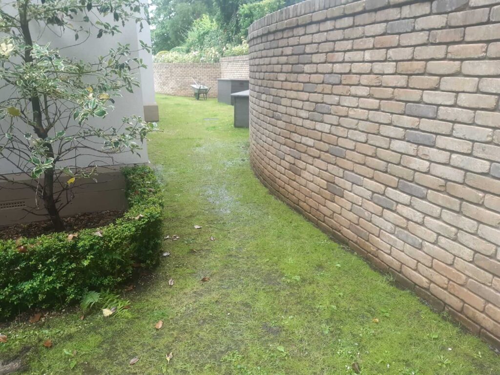 Photo of the garden down the side of the house with dead patchy grass.