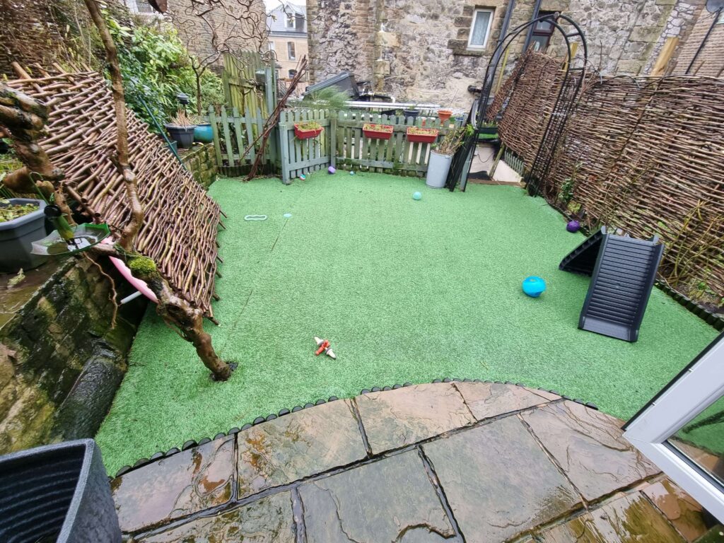 Photo of the dog boarders garden before with run down artificial grass.