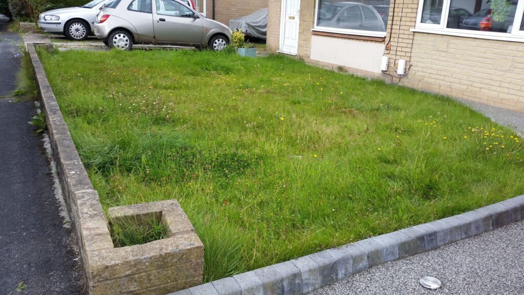 Photo of a overgrown and messy front lawn.