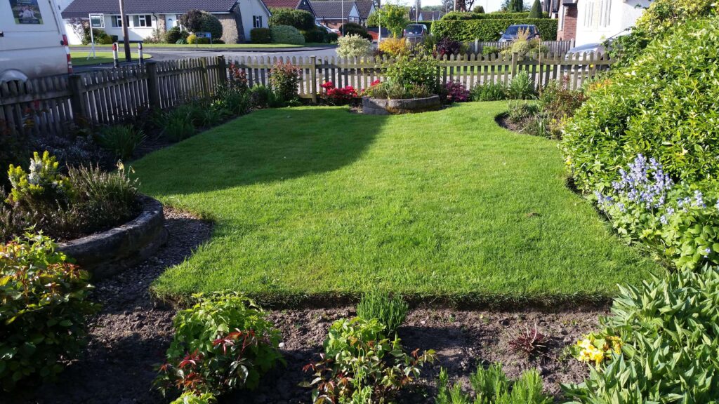 Photo of the garden before with dead patches of grass.