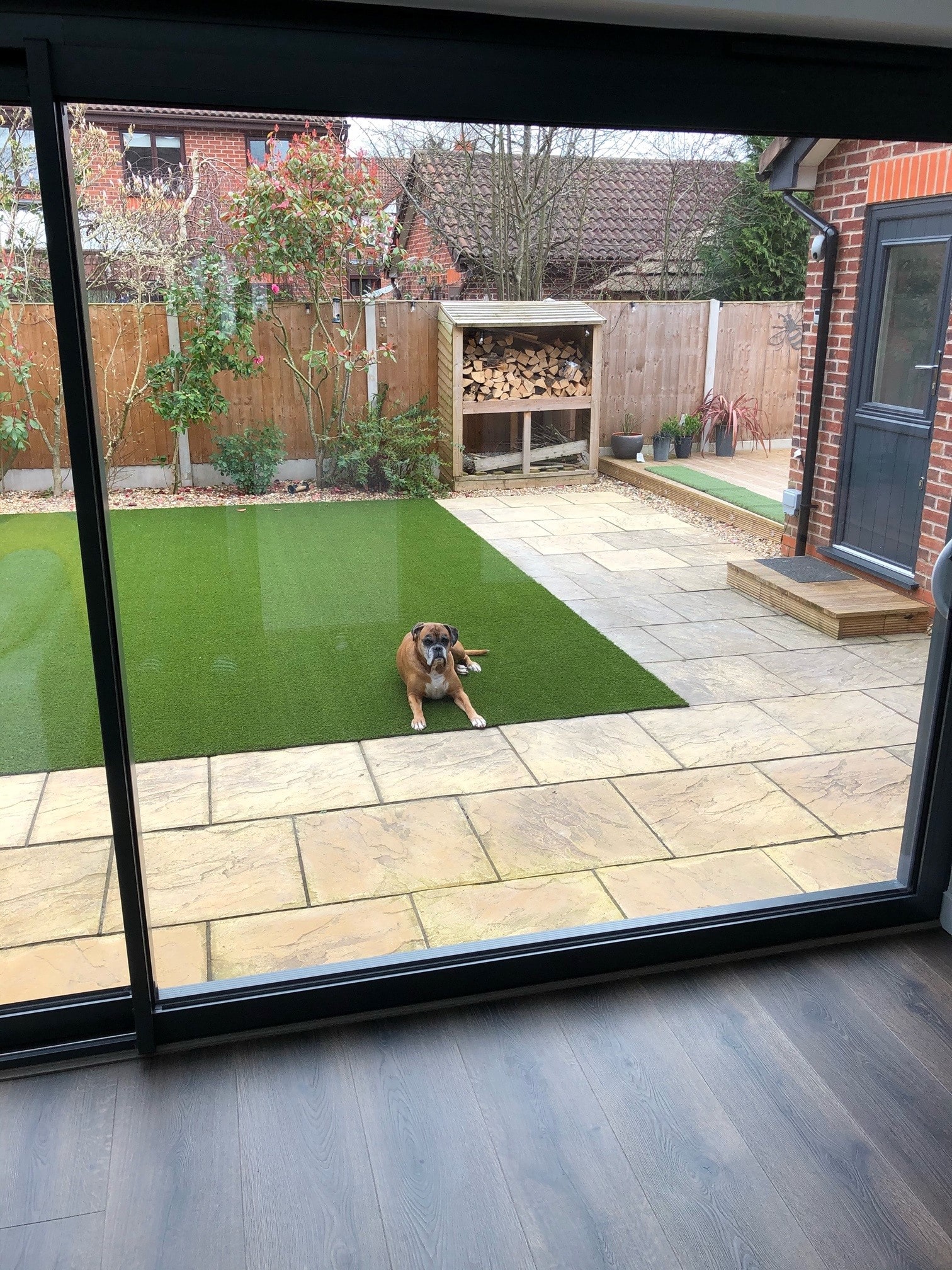 Photo of the back garden through the window with artificial grass and dogs there.