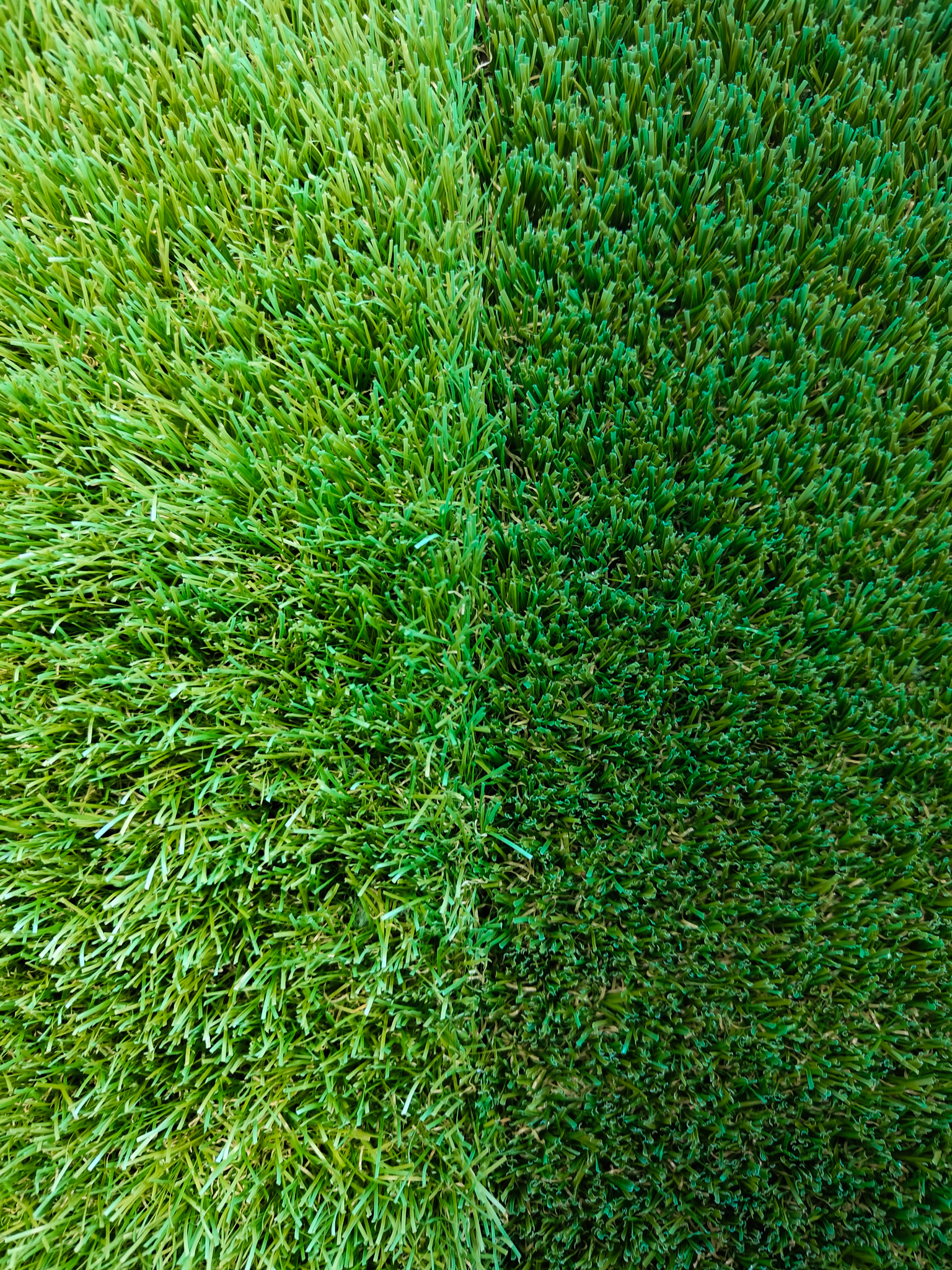 Light and dark artificial grass comparison
